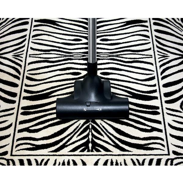 Пылесос для сухой уборки Fimap FA15 Plus Eco Energy