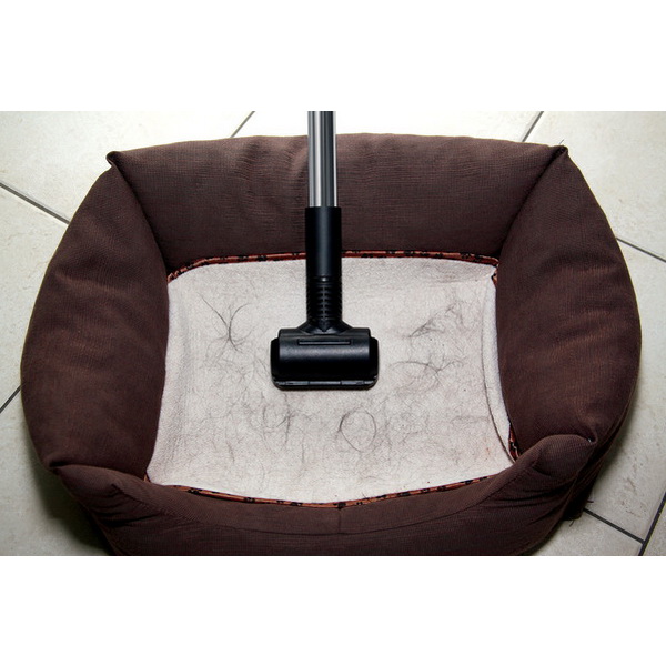 Пылесос для сухой уборки Fimap FA15 Plus Eco Energy HEPA